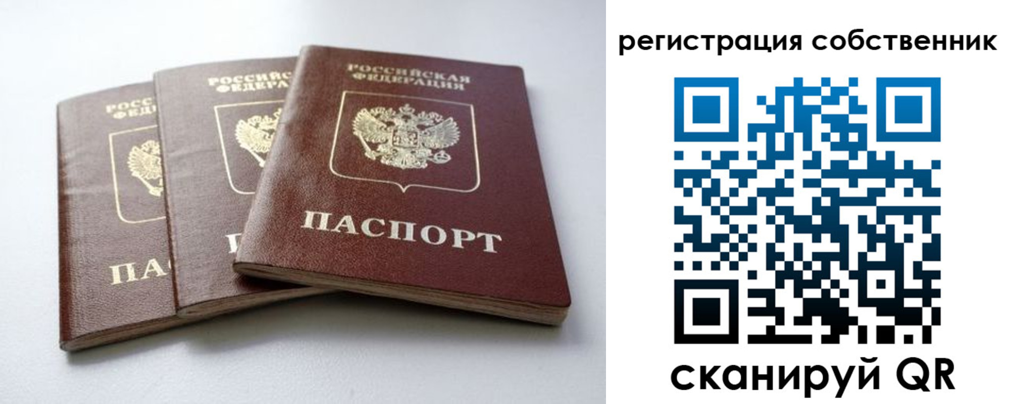 прописка для школы в Котельниче